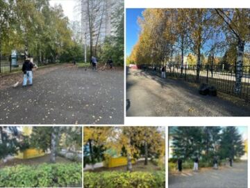 Коллаж уборки территории школы во время осеннего субботника